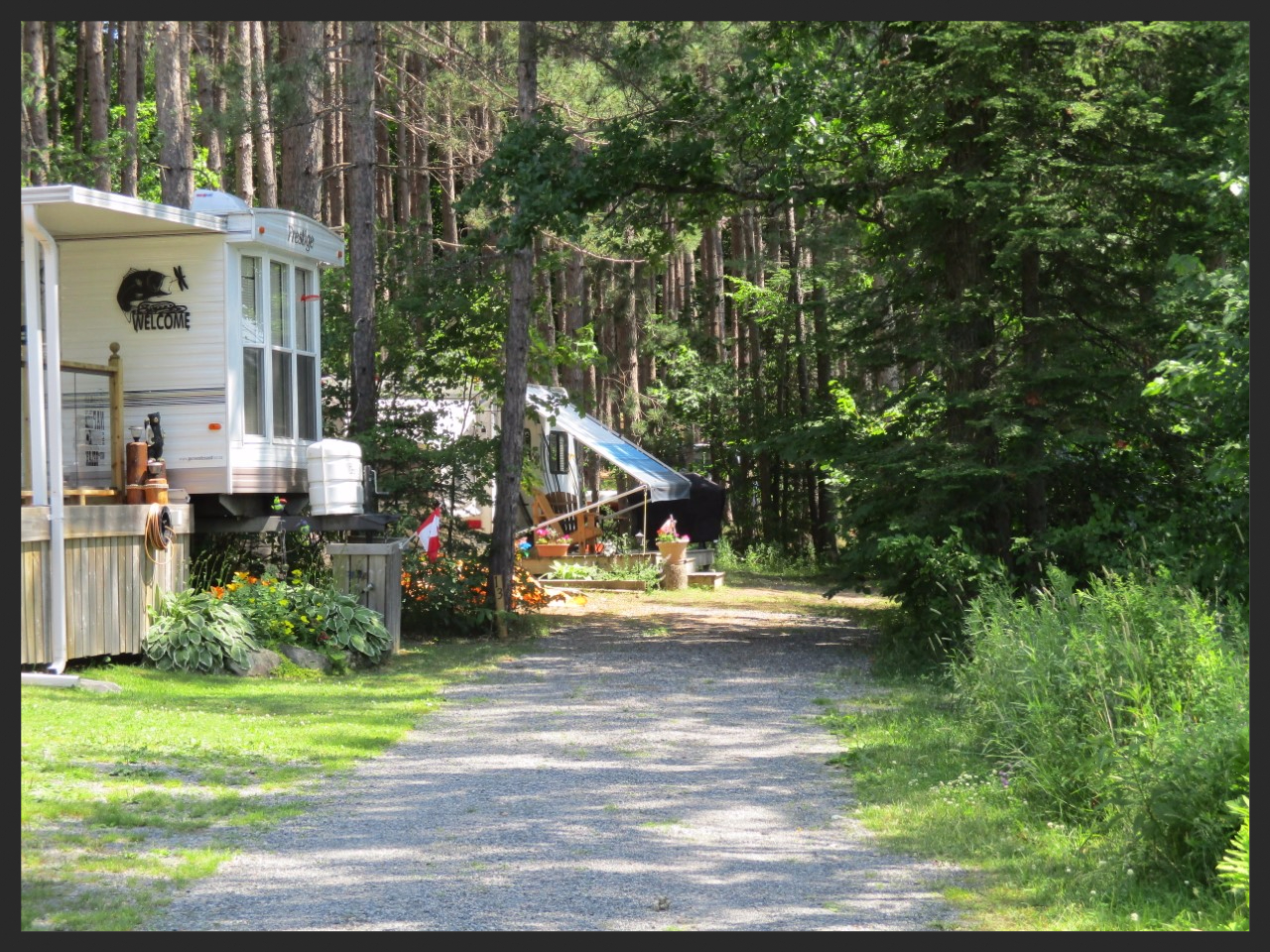 Private Treed Sites